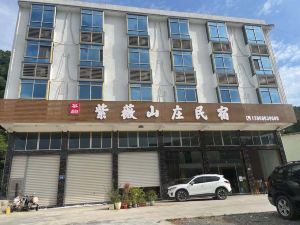 Zhenghe Ziwei Mountain Villa Homestay