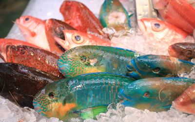 その他 ホテルリゾネックス名護の写真