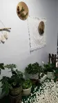 鵬祥民宿（利民街分店） 魚中魚水族釣具精品附近的飯店