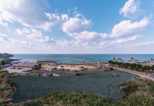 코쿤 호텔 이미지