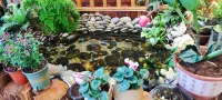 錦崗箐客棧（普洱高鐵站店）