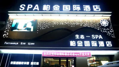 Platinum International Hotel (Tongjiang Russian Style Park Branch) Hotels in Tongjiang