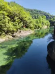 小城小墅·山居|Mountain·Forest·Retreat美宿（牯牛降景區店） - 新