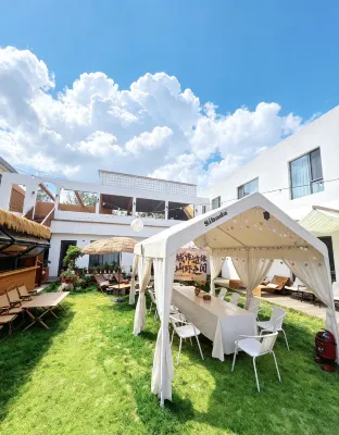 Shanshang Yunxia Homestay - bar