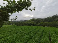 Yuexi Lvfuyuan Farm Stay