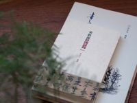 武夷山熹悦小院 - 自在园景大床房