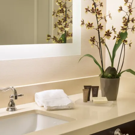 Ayres Hotel Orange