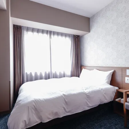 HOTEL DORMY INN KOBE MOTOMACHI HOT SPRINGS