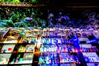 春天映向空中花園酒店（北京天安門王府井店） - 酒吧