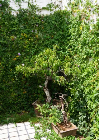 The Dawn of Yihe Hotel