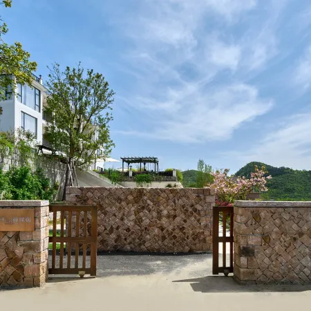 wake up in moganshan·A Beautiful night in the forest