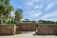 wake up in moganshan·A Beautiful night in the forest