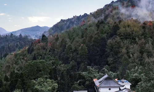 龍宮·翠山房