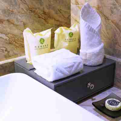 烏魯木齊瑞豪國際酒店 Rooms