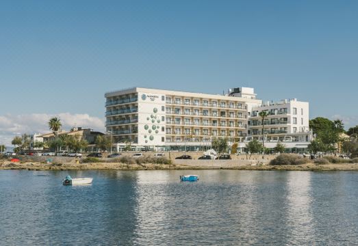 알루아소울 팔마 수영장