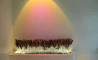 That Fireworks · Designer Homestay (Zhaosu Branch)