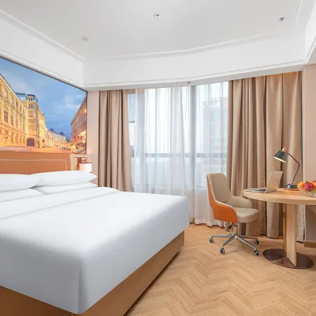 Vienna Hotel (Queshan Longshan Avenue)