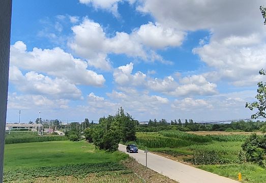 4. 얀우 홈스테이..