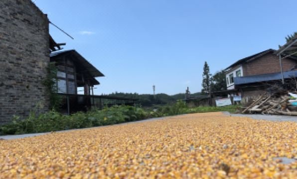 Ecological villa - Housity