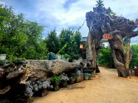 Wangyue Yunjv Homestay