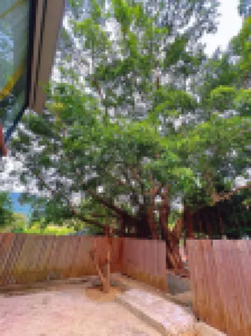 Guangzhou Star Dream Ark Hostel Hotels near Shimen National Park