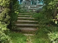 Jiulong Xiyun Farm Hotels in Jiulong