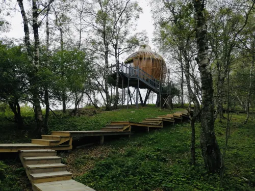 Guanshan Prairie Huaxi Sushang Tree House Hostel