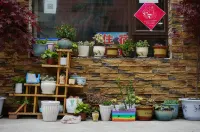 Wenchuan Yueting Yushe Homestay