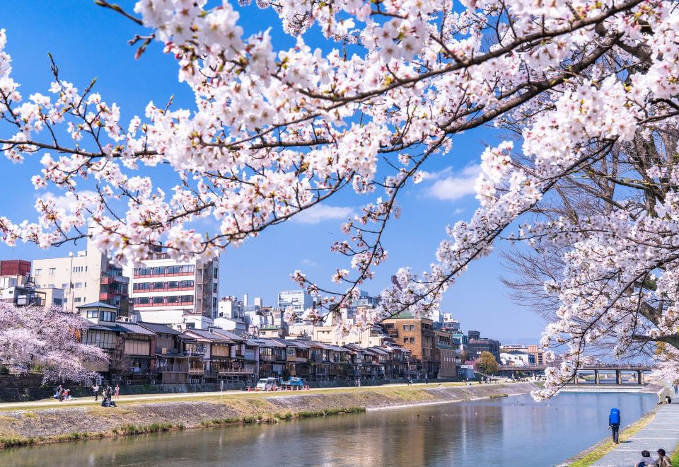 1. 굿 네이처 호텔..