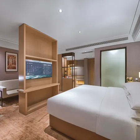 Vienna Hotel (Lu'an Railway Station Government Affairs Center Branch)
