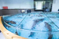 Xinhai Sea View Swimming Pool Villa（Poly Jinchowan Store） - Hot Tub