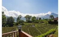 Mount Batur Villa Отели в г. Кинтамани