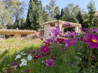 Qiongkushitai Yunzhen Ancient Road Homestay