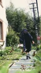 Life in the Woods Hotels in Qingdao