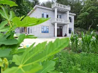 Shanye Homestay (Gaoping Station) Hotels near Butterfly Dance Qingjiang·Enshi Dixin Valley Scenic Spot