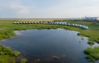 NaMuWildLuxuryCamp Hotels in Old Barag Banner