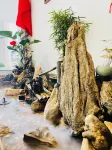 Daxin Yueshanshui Homestay