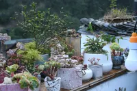 侗見星野·草木染主題觀景民宿（肇興侗寨店）