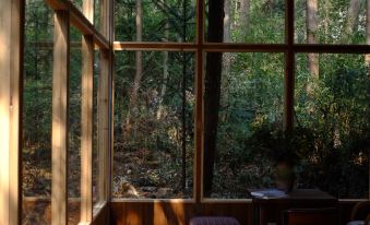 Duck Farm · The Lodge In Woods