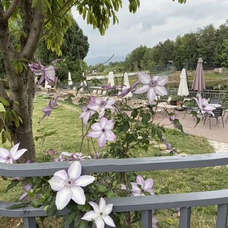 Jiangyou Cuiwei Countryside Homestay