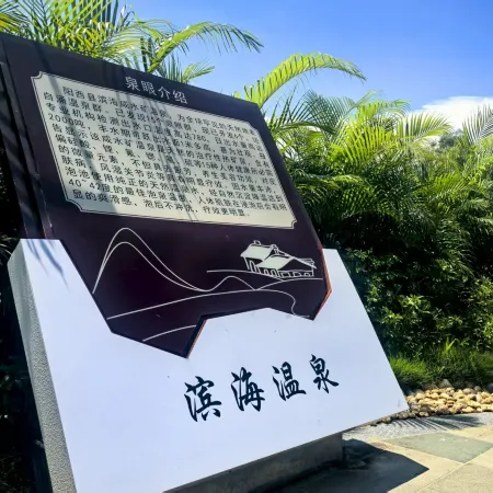 Yangxi Binhai Saline Water Mine Hot Spring Hotel
