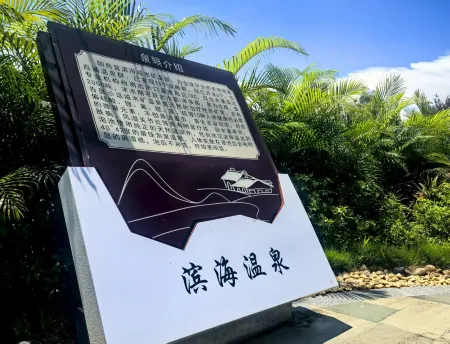 Yangxi Binhai Saline Water Mine Hot Spring Hotel