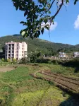 Fuqing Honglv Guesthouse - Pet friendly