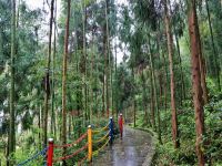 大邑溪苑山居温泉民宿 - 酒店附近