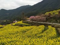 婺源江岭邻家别院 - 其他