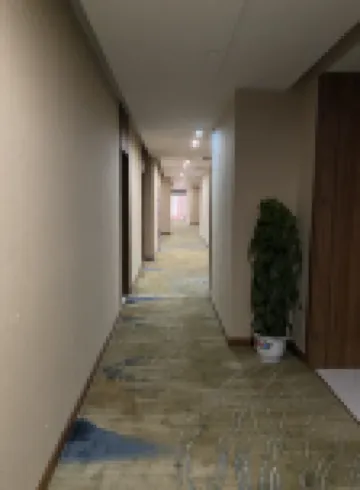 費萊德民宿