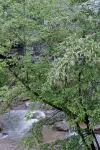 Qingcheng Mountain is not late - Inns