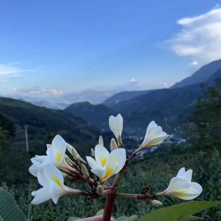 Baihualing Chonglou Post Station