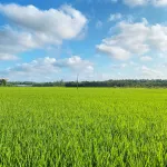 Qionghai Yimei Hotel