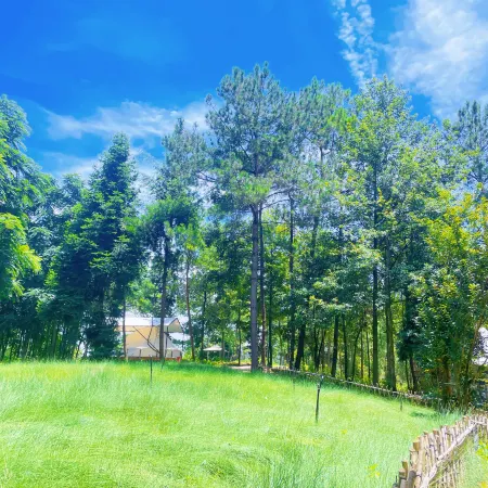 Laran Camping Base (Laran Lake Kangyang Town Store)